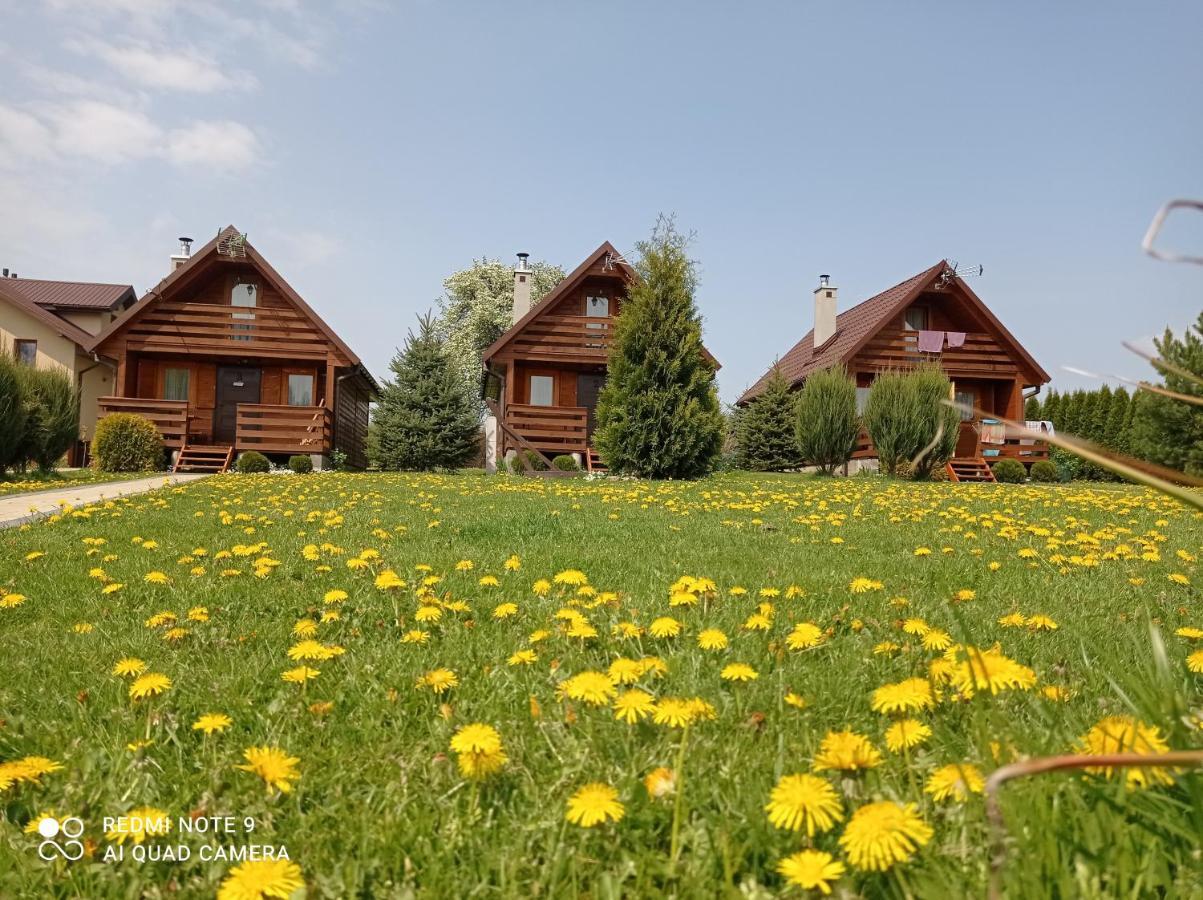 Osrodek Wczasowy "Wczasy Pod Grusza" Hotel Biecz Exterior photo